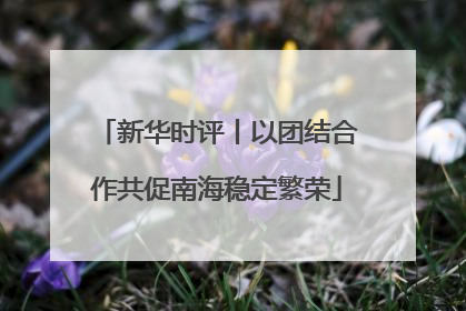 新华时评丨以团结合作共促南海稳定繁荣