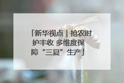 新华视点｜抢农时 护丰收 多维度保障“三夏”生产