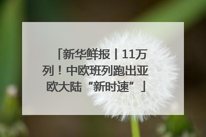 新华鲜报丨11万列！中欧班列跑出亚欧大陆“新时速”
