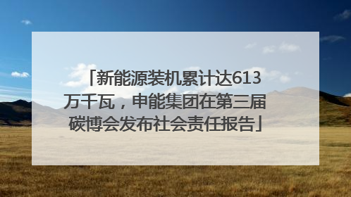 新能源装机累计达613万千瓦，申能集团在第三届碳博会发布社会责任报告