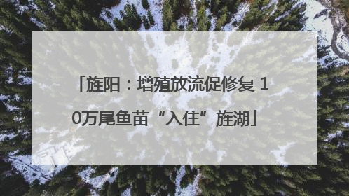 旌阳：增殖放流促修复 10万尾鱼苗“入住”旌湖