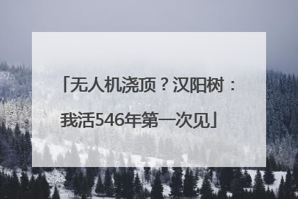 无人机浇顶？汉阳树：我活546年第一次见