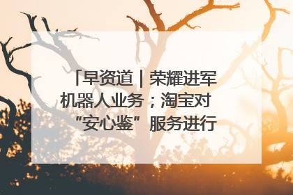 早资道｜荣耀进军机器人业务；淘宝对“安心鉴”服务进行逐步下线调整