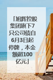 旭辉控股集团旗下7只公司债自6月3日起停牌，本金额超100亿元