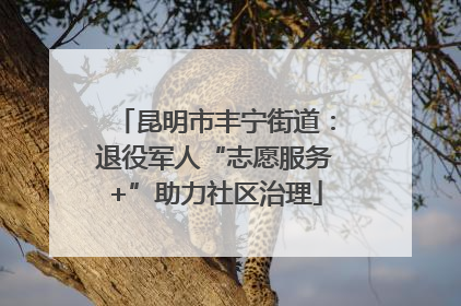 昆明市丰宁街道：退役军人“志愿服务+”助力社区治理