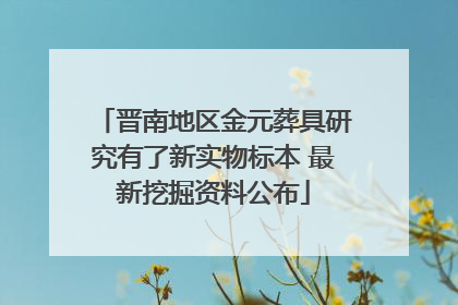 晋南地区金元葬具研究有了新实物标本 最新挖掘资料公布