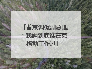 普京调侃副总理：我俩到底谁在克格勃工作过