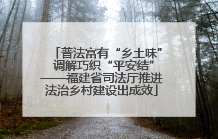 普法富有“乡土味” 调解巧织“平安结”——福建省司法厅推进法治乡村建设出成效