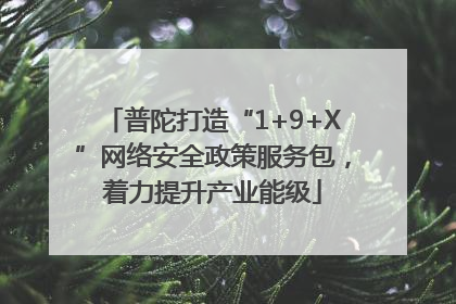 普陀打造“1+9+X”网络安全政策服务包，着力提升产业能级
