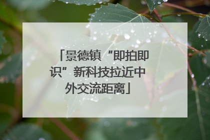景德镇“即拍即识”新科技拉近中外交流距离