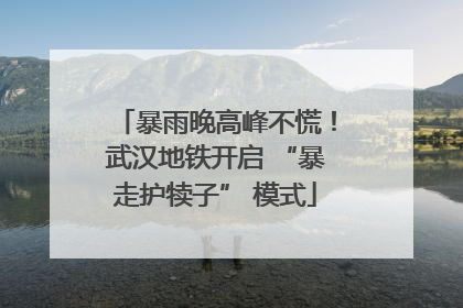 暴雨晚高峰不慌！武汉地铁开启 “暴走护犊子” 模式