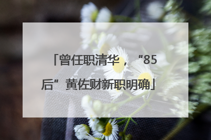 曾任职清华，“85后”黄佐财新职明确