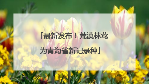 最新发布！荒漠林莺为青海省新记录种