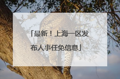 最新！上海一区发布人事任免信息