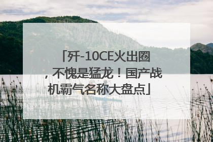 歼-10CE火出圈，不愧是猛龙！国产战机霸气名称大盘点