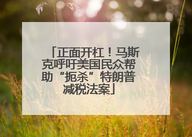 正面开杠！马斯克呼吁美国民众帮助“扼杀”特朗普减税法案