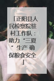 正阳县人民检察院驻村工作队：助力“三夏”生产 确保粮食安全