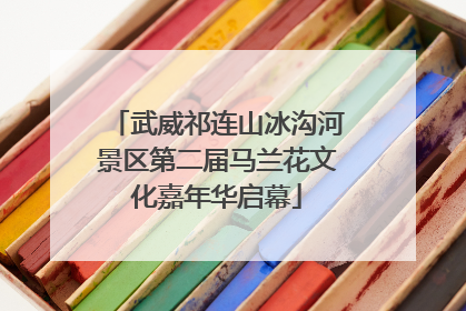 武威祁连山冰沟河景区第二届马兰花文化嘉年华启幕