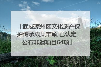 武威凉州区文化遗产保护传承成果丰硕 已认定公布非遗项目64项