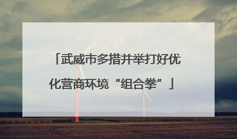 武威市多措并举打好优化营商环境“组合拳”