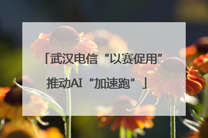 武汉电信“以赛促用”推动AI“加速跑”