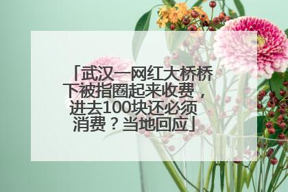 武汉一网红大桥桥下被指圈起来收费，进去100块还必须消费？当地回应
