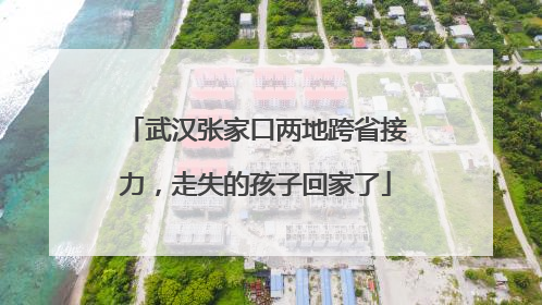 武汉张家口两地跨省接力，走失的孩子回家了