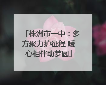 株洲市一中：多方聚力护征程 暖心相伴助梦圆