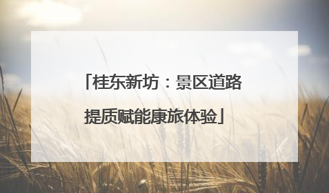 桂东新坊：景区道路提质赋能康旅体验