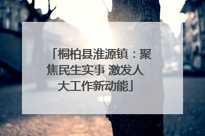 桐柏县淮源镇：聚焦民生实事 激发人大工作新动能