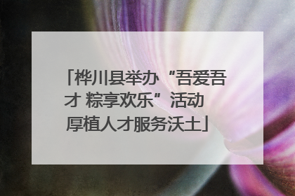 桦川县举办“吾爱吾才 粽享欢乐”活动 厚植人才服务沃土