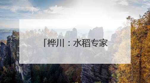 桦川：水稻专家田间把脉 科技赋能单产提升