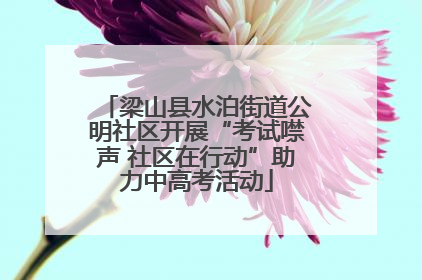梁山县水泊街道公明社区开展“考试噤声 社区在行动”助力中高考活动