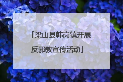 梁山县韩岗镇开展反邪教宣传活动