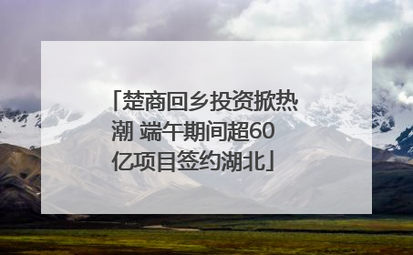 楚商回乡投资掀热潮 端午期间超60亿项目签约湖北