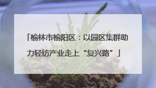 榆林市榆阳区：以园区集群助力轻纺产业走上“复兴路”