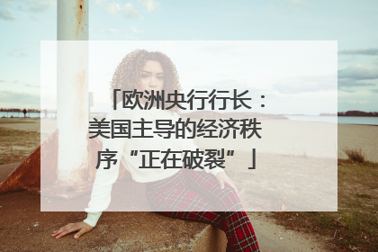 欧洲央行行长：美国主导的经济秩序“正在破裂”