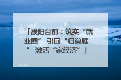 濮阳台前：筑实“就业圈” 引回“归巢雁” 激活“家经济”