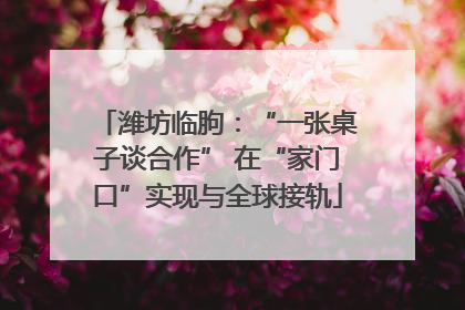 潍坊临朐：“一张桌子谈合作” 在“家门口”实现与全球接轨