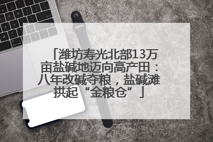 潍坊寿光北部13万亩盐碱地迈向高产田：八年改碱夺粮，盐碱滩拱起“金粮仓”