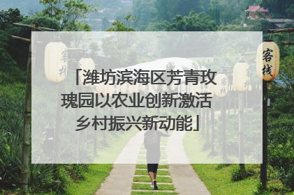 潍坊滨海区芳青玫瑰园以农业创新激活乡村振兴新动能