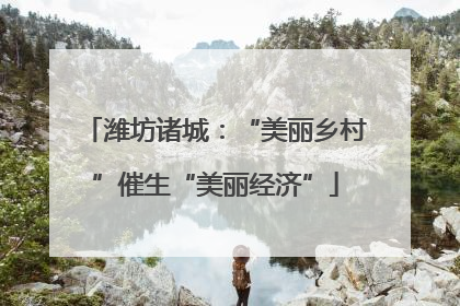 潍坊诸城：“美丽乡村”催生“美丽经济”