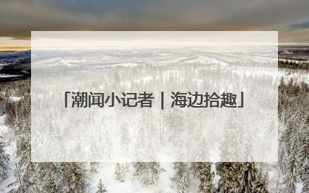 潮闻小记者｜海边拾趣