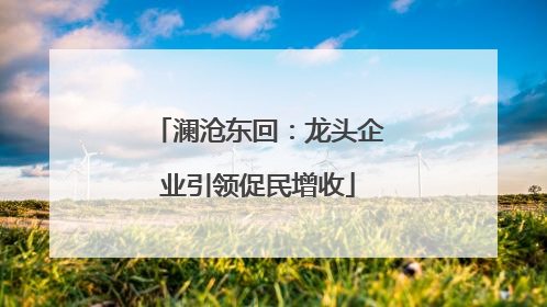 澜沧东回：龙头企业引领促民增收