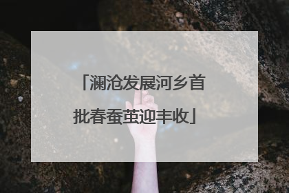 澜沧发展河乡首批春蚕茧迎丰收