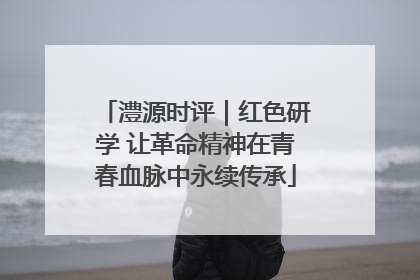 澧源时评｜红色研学 让革命精神在青春血脉中永续传承