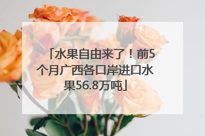 水果自由来了！前5个月广西各口岸进口水果56.8万吨