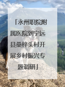 永州职院附属医院到宁远县桑梓头村开展乡村振兴专题调研
