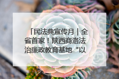 民法典宣传月｜全省首家！陕西商洛法治廉政教育基地“以案说纪”润人心