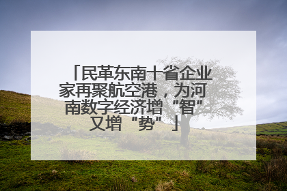 民革东南十省企业家再聚航空港，为河南数字经济增“智”又增“势”